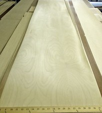 Birch wood veneer 97 - 20", x