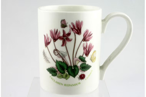 Portmeirion botanic garden - -,