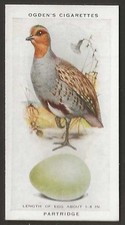 OGDENS-BRITISH BIRDS & THEIR EGGS-#26- PARTRIDGE 
