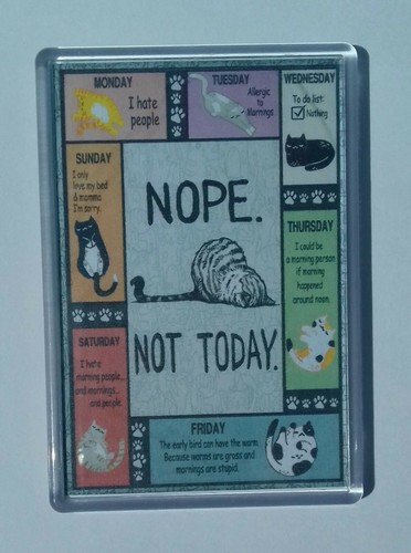 Large fridge magnets - fridge,