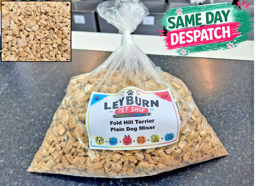 Fold hill plain terrier dog - hill,