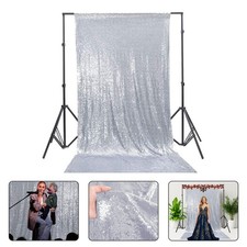 Sequin Curtain Photo Backdrop