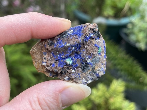 Azurite and malachite mineral - malachite,