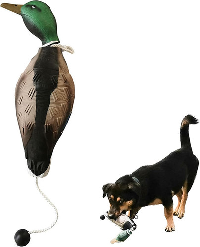 Dog training duck dummy eva - duck,