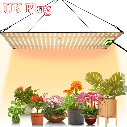 Led grow light hydroponic - grow,