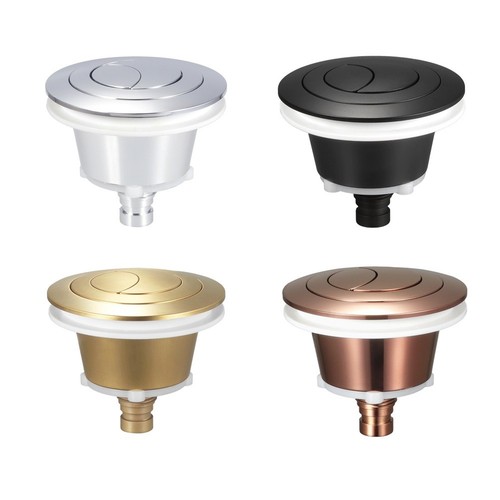 Replacement dual flush toilet - replacement,