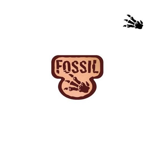 Pokemon fossil non holo - pokemon,