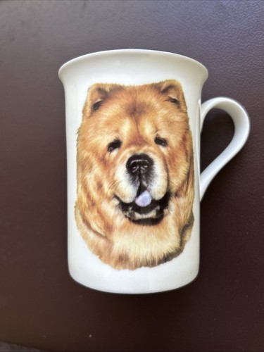 Chow dog head - chow,