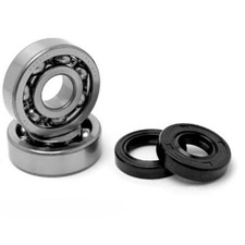 6303 TVH C4 BEARINGS AND AM6