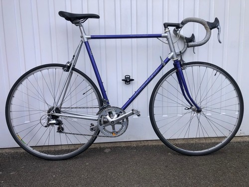 Raleigh dynatech 400 racer - raleigh,