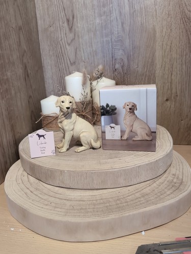 Labrador dog resin ornament - dog,