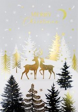 Surprise 3D Pop Out Reindeers