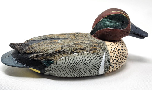 Green winged teal drake duck - teal,