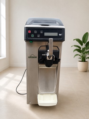 Carpigiani ice cream soft - ice,