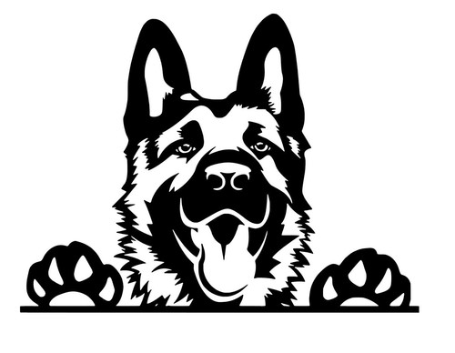 Peeking german shepherd - peeking,