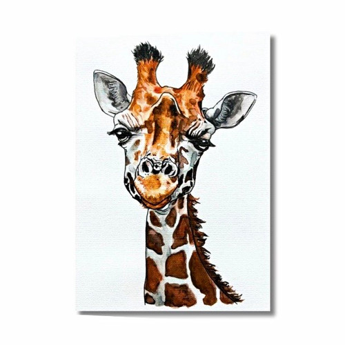 Giraffe wildlife animal - giraffe,