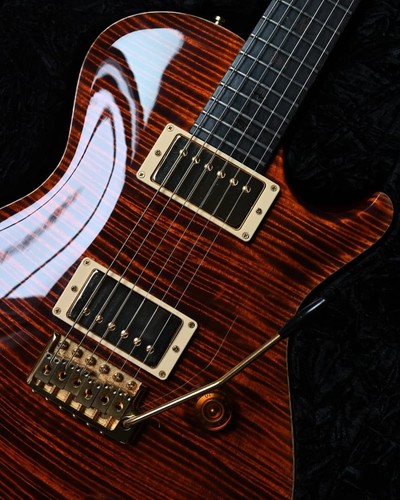 Knaggs prs private stock - private, sc