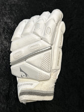 BLUEROOM Avalanche Players