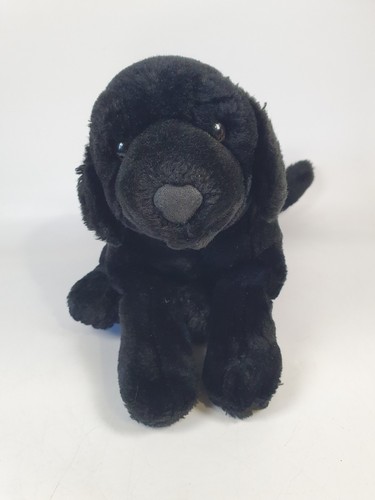 Labrador dog animal - ,