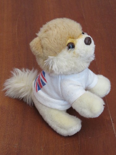 Gund itty bitty boo pomeranian - boo,