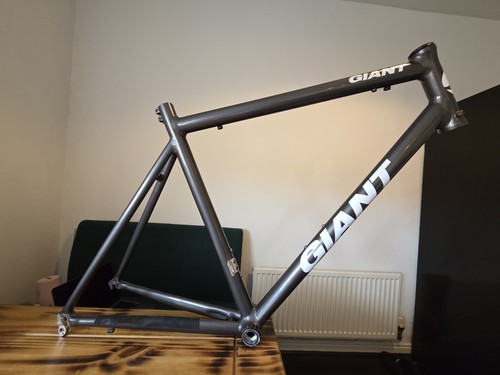 Giant tcr frameset custom - tcr,