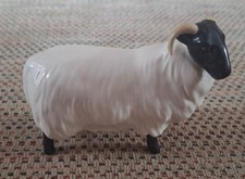 Vintage Beswick Black Faced Sheep/Ramsden in Gloss ■ Excellent 