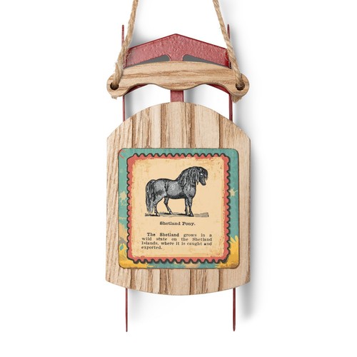 Shetland pony vintage - shetland,