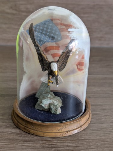 American majesty bald eagle - bald,