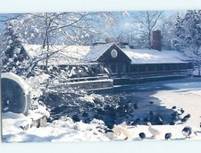 Unused 1980's RESTAURANT SCENE