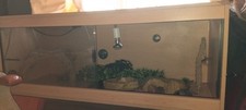Reptile Enclosure, Heat Lamp