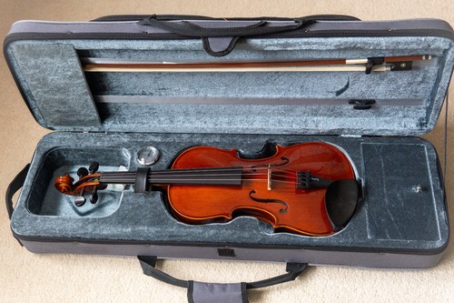 Violin full size stentor - full,