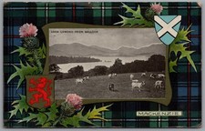 DUNBARTON Loch Lomond from Balloch Dunbartonshire Scotland Postcard Posted 1910