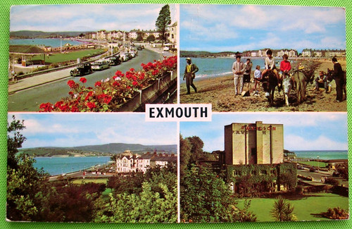 Free postage 1971 exmouth - postage,