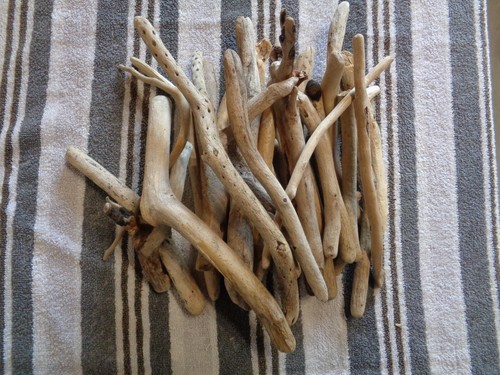 Pieces driftwood - pieces,