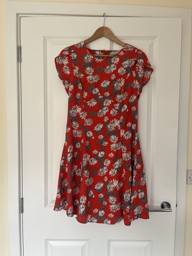 Red herring daisy - red,