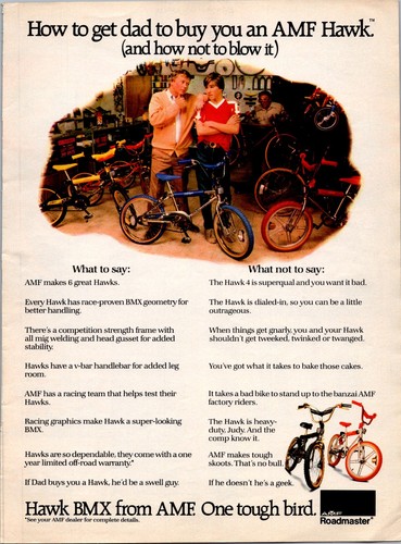 1981 hawk bmz - •,