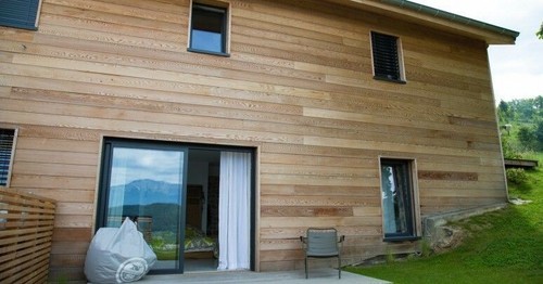 Siberian larch cladding - larch, tongue