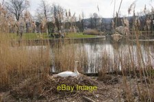 Photo 6x4 South Inch boating