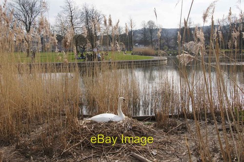 Photo 6x4 south inch boating - 6x4,