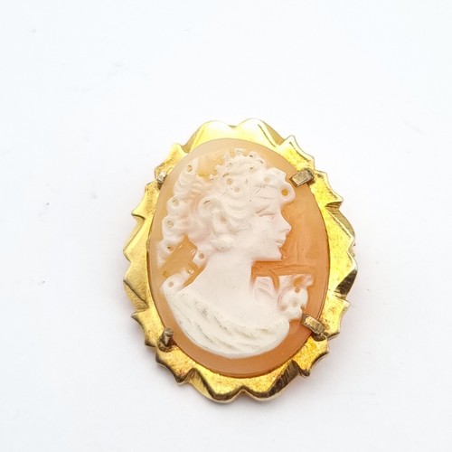 Carved cameo brooch pendant - carved,