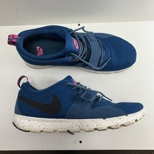 Nike SB Trainerendor Blue