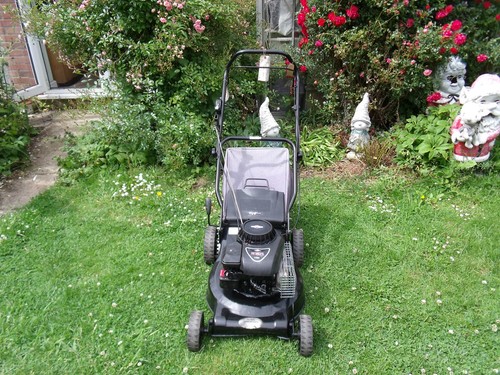 Cut push lawnmower - cut,