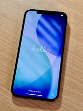 Apple iPhone 12 Pro Max -