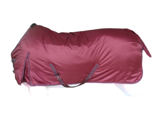 Burgundy horse blanket - horse, equine