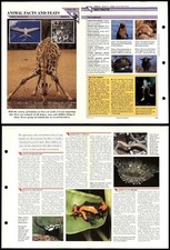 Animal Facts & Feats #25