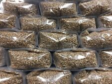 1kg - 4KG Rye Grain (Hydrated & Sterilised) - Mushroom Growing Kit - Sterile