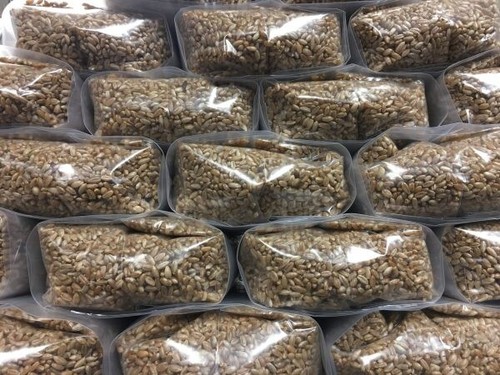 Rye grain bags - grain,