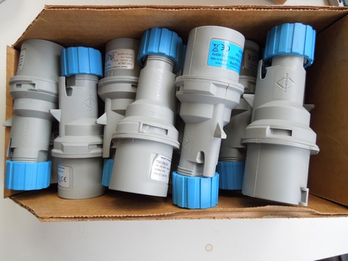 X15 lewden amp blue - lewden, plug