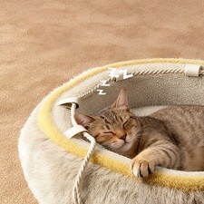 Cat Bed Non Slip Amusement