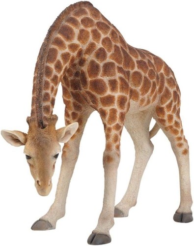 Vivid arts giraffe large - -,